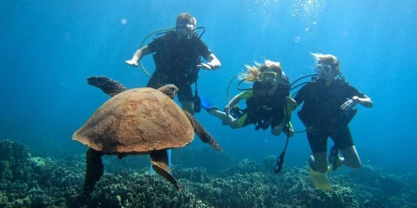 Discover Scuba Diving Hurghada - Image 2