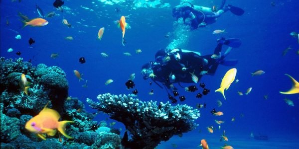Discover Scuba Diving Hurghada - Image 3
