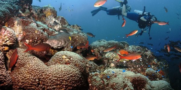 Discover Scuba Diving Hurghada - Image 4
