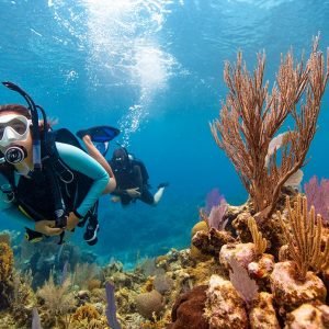 Open Water Diver Course Hurghada