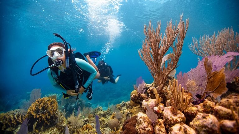Open Water Diver Course Hurghada