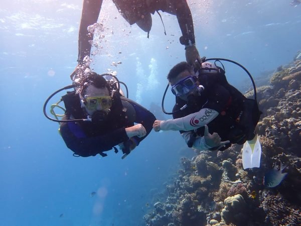 Adaptiver Tauchausflug in Hurghada (IAHD-zertifiziert) – Bild 4