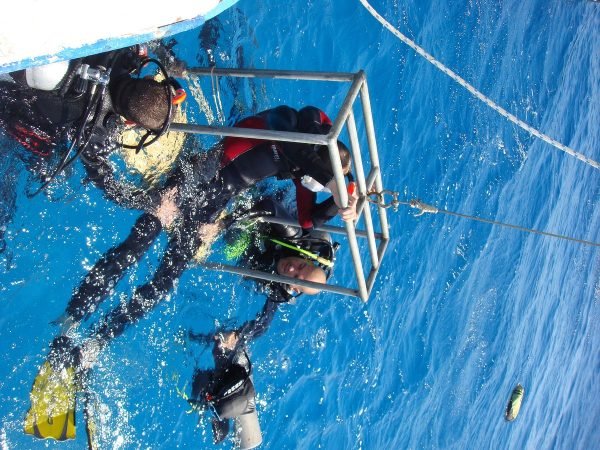 Adaptiver Tauchausflug in Hurghada (IAHD-zertifiziert) – Bild 5