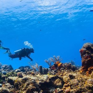 Daily Diving Trip Hurghada
