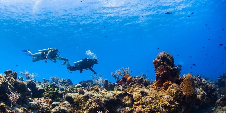 Daily Diving Trip Hurghada