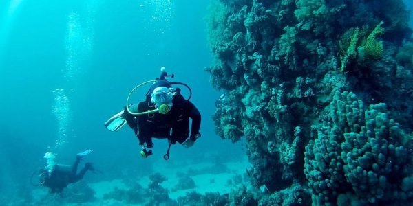 Daily Diving Trip Hurghada - Image 4