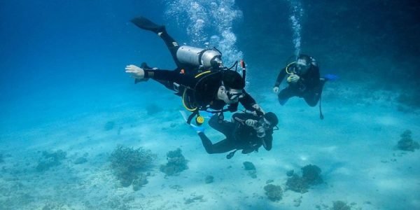 Daily Diving Trip Hurghada - Image 3