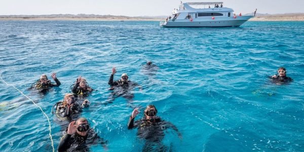 Daily Diving Trip Hurghada - Image 2