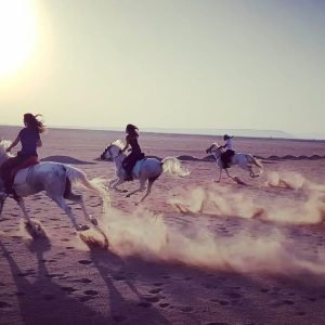 One-Hour Horse Riding Hurghada
