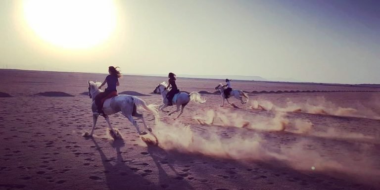 One-Hour Horse Riding Hurghada