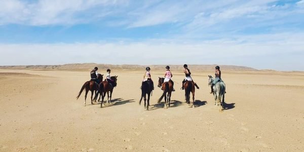 One-Hour Horse Riding Hurghada - Image 4