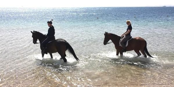 One-Hour Horse Riding Hurghada - Image 3