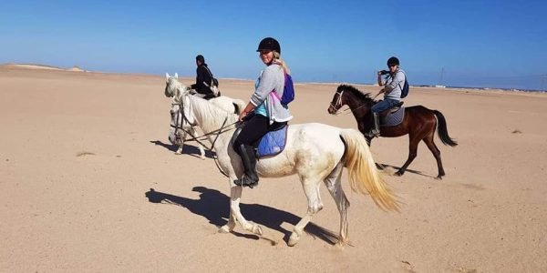 One-Hour Horse Riding Hurghada - Image 2