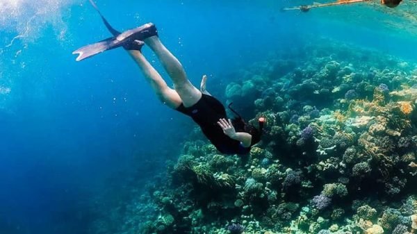 Sharm El Naga Snorkeling Trip
