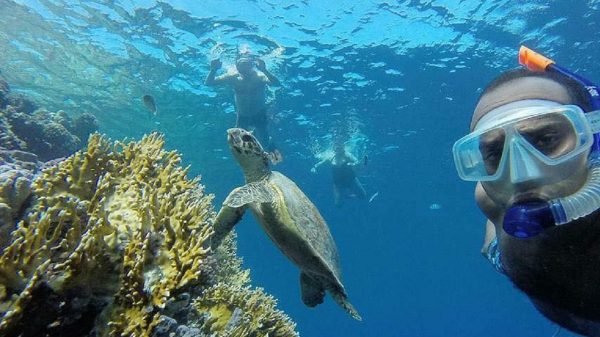 Sharm El Naga Snorkeling Trip - Image 3