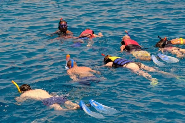 Snorkeling Trip Hurghada - Image 4