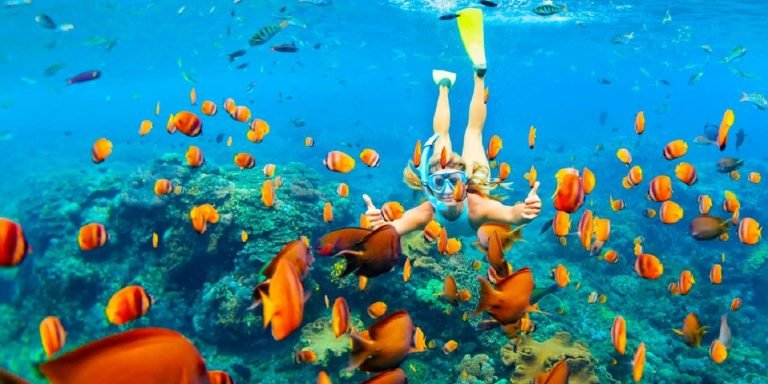 Snorkeling Trip Hurghada