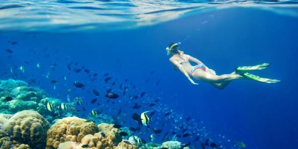 Snorkeling Trip Hurghada - Image 3