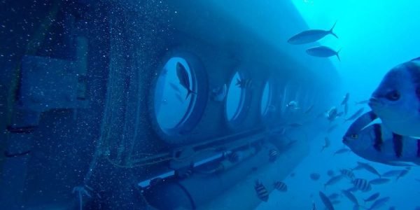 Sindbad Submarine Trip Hurghada - Image 6